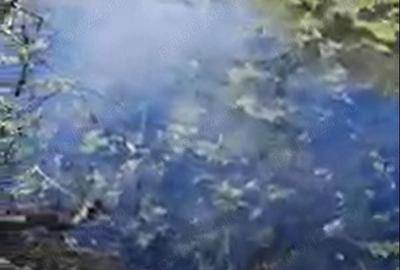 Teren de 682 mp, în Dumbrăvița