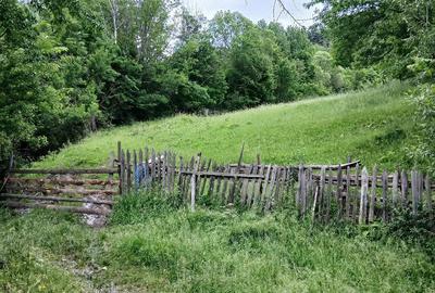Teren de 2300 mp, în Valea Doftanei - 3