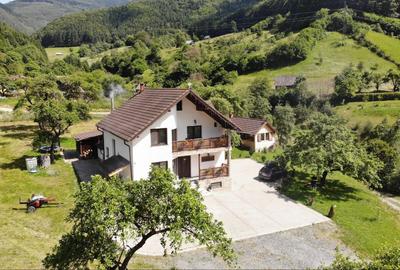 Casă cu 4 camere în Râu Sadului - 7