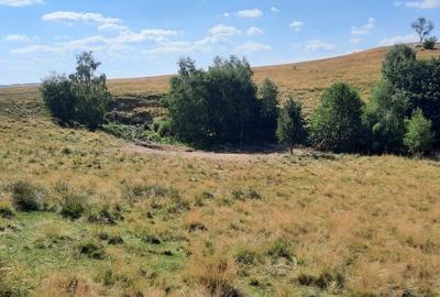 Vand teren montan 6.043mp , 20.000 euro, 55m deschidere- drumul Saliste - Crint - 3