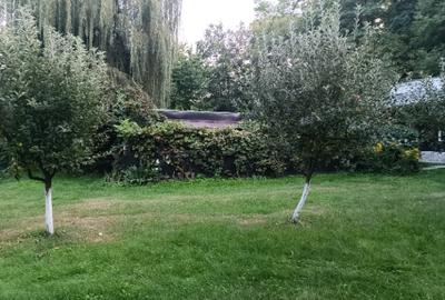 Izvoarele, Prahova - 8