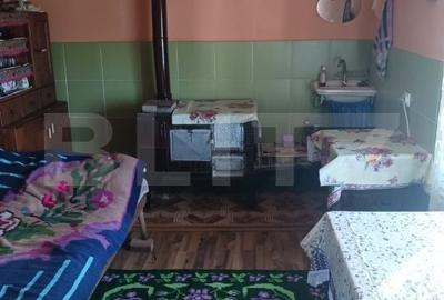 Casă cu 2 camere cu Teren 3800 Mp în Central - 3