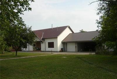 Casă cu 3 camere cu Teren 1800 Mp în Turnu - 7