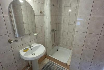Apartamente ?i camere de inchiriat Videle, utilita?i incluse - 11