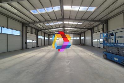 Hala - 1400 mp  # plus-imo.ro - 18