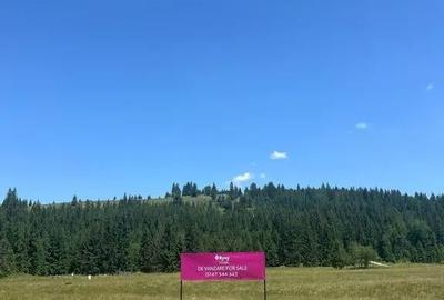 Teren de 40250 mp, în Comandău - 3