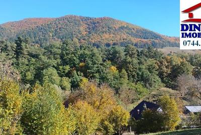 3600 mp teren intravilan, sat Bistrita, 12 Euro/mp - 3