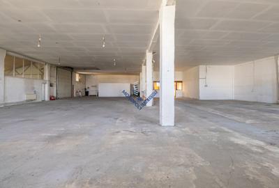 Spațiu industrial - Hală Oligopol - 8