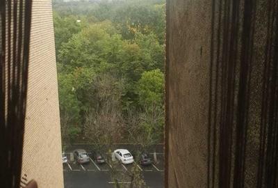 Apartament cu 2 camere semidecomandat în Tineretului - 2