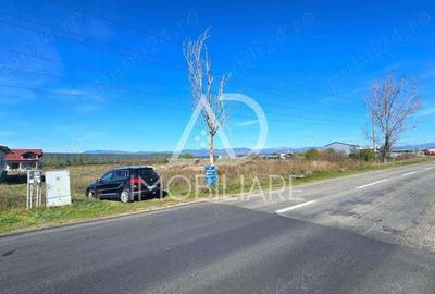 Teren în Narciselor - 6