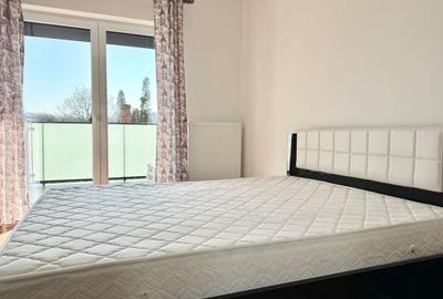Apartament cu 2 camere semidecomandat, mobilat în Lipovei - 18