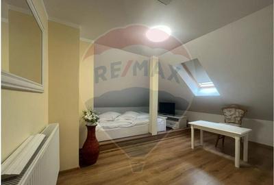 Apartament deosebit, situat la casa - zona Centrala - 13