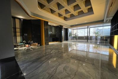 Vanzare Vila Exclusivista Aviatorilor - 6