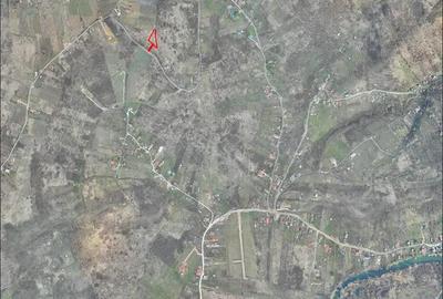 Teren pentru investitie - 1300 mp. - Podgoria - IMOBIHOR - 1