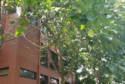 Proprietate de investi?ie premium Chiajna Padurea Ro?u Lacul Morii 2500mp teren, casa 400mp - 6