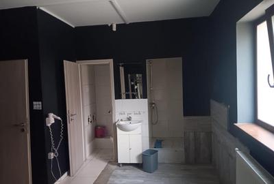 Spațiu comercial, de 403 mp, în Serele Vișoianu - 8