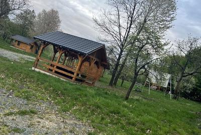 Spațiu comercial, în Satu Nou de Sus - 2