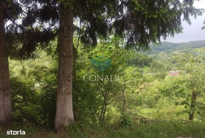 Teren de 800 mp, în Central - 20