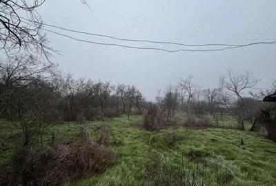 Teren de 2499 mp, în Sârbeni - 5