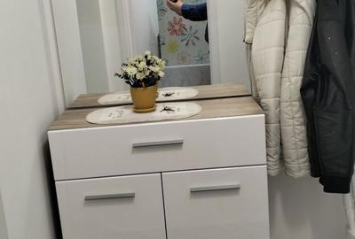 Garsonieră semidecomandată în Brazda lui Novac - 5