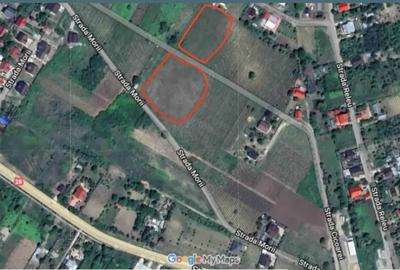 Teren de 6200 mp, în Chicerea