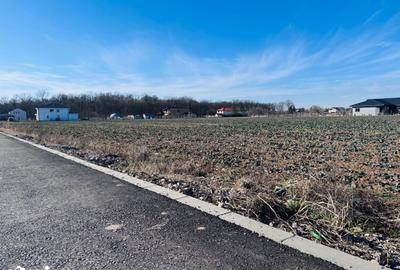 Teren de 1600 mp, în Snagov - 6