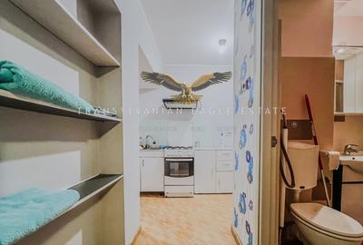 Apartament decomandat cu 3 camere in Plopilor - 10