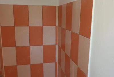 Casă cu 3 camere cu Teren 500 Mp în Dezmir - 1
