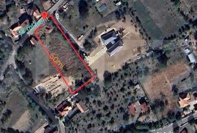 Teren de 1606 mp, în Bună Ziua - 1