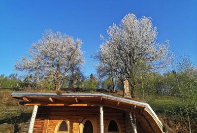 Casă cu 4 camere în Horea - 3