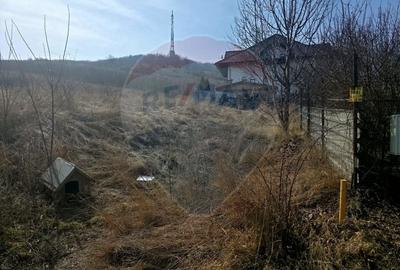 Teren Construcții intravilan de 500 mp, în Calea Romanului - 2
