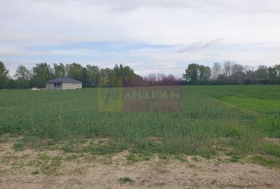 Teren în Măgurele - 7