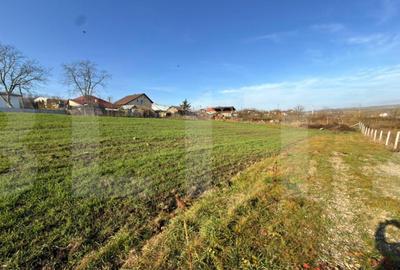 Teren de 3750 mp, în Central - 3