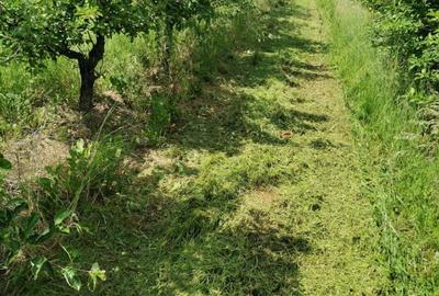 Spațiu comercial, în Buciumi