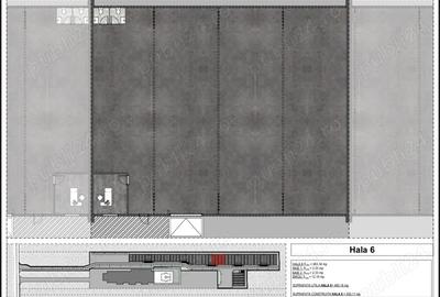 Hale de vanzare TUNARI - 1.250 euro mp - 9