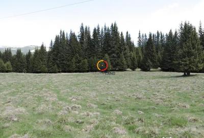 Teren de 50000 mp, în Pietroșița - 1