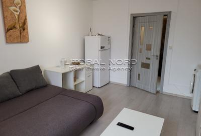 Garsonieră semidecomandată, mobilată în Energia - 6