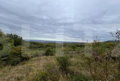Teren în Ciurila - 1