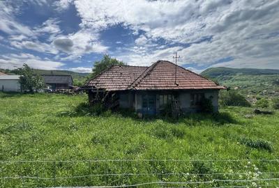 Teren de 1260 mp, în Agârbiciu - 5