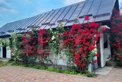 Vila cu Teren Generos si Livada La Sos. Principala Targovi? - 13