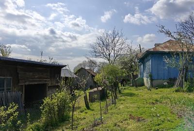 Dolj Casa cu teren generos (10.300 mp) in sat Ungureni - 5