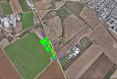 Teren Varianta Ovidiu - 3