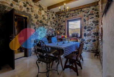 Complex  Printesa din Carpati  - Oportunitate de Investitie Unica pe Valea Aries Complex  Printesa din Carpati  - Oportunitate de Investitie Unica pe Valea Aries - 16