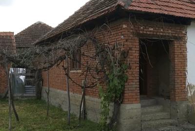 Vand Casa cu Gradina - 3