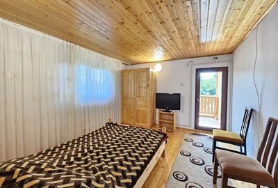 Vila superba de vanzare in Vintila Voda, Buzau D+P+1 si anexe - 34