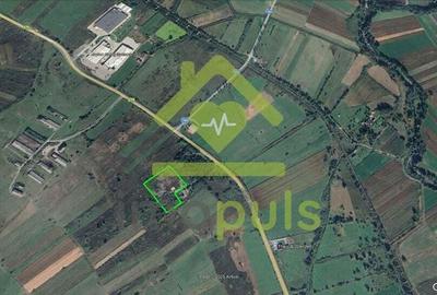 ? Teren intravilan 10.000 mp Mesteacan, jud. Hunedoara ? - 3
