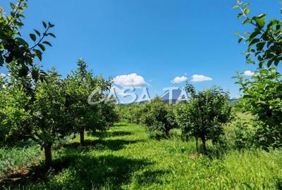 Casă individuală cu 4 camere cu Teren 4037 Mp în Samarinești - 11