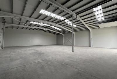 Inchiriere depozit/hala/spatiu industrial Chiajna - Chitila - Rudeni - 3
