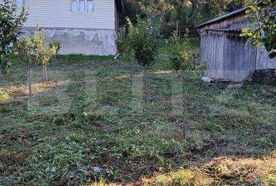 Casa la munte, teren 8324 mp, anexe, zona comuna Bucium - 10