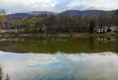 Oravita, Casa de Vacanta, PRET FIX, Zona Lacul Mare - 14